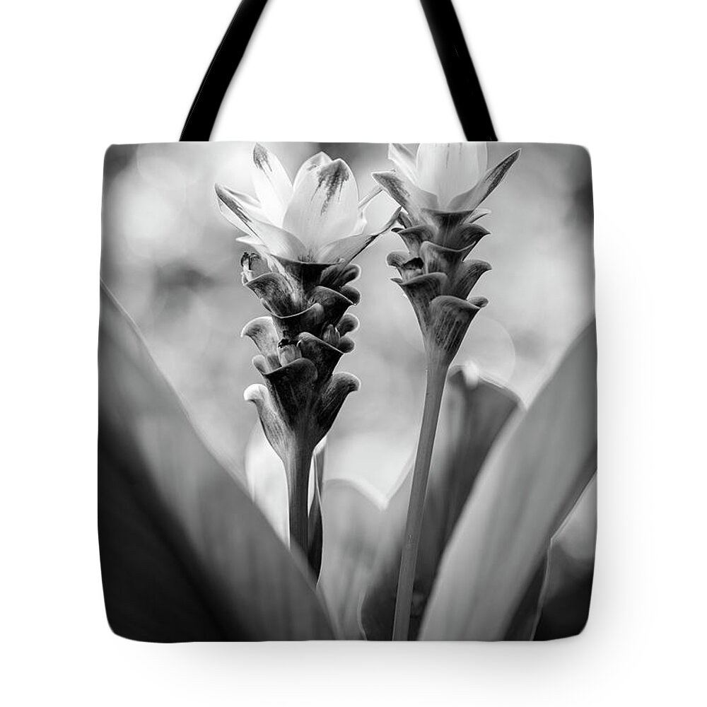 Background Tote Bag featuring the photograph White Curcuma Flower #7 by Raul Rodriguez