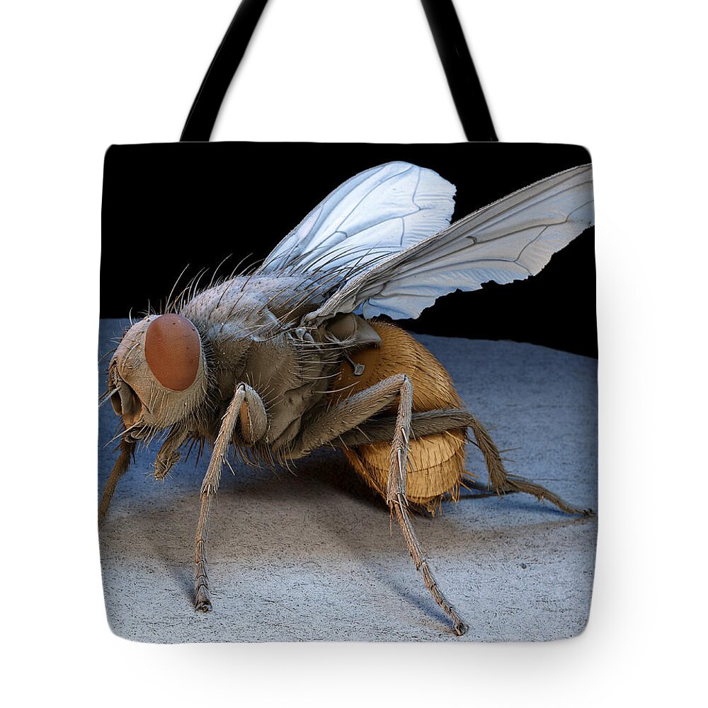Animal Tote Bag featuring the photograph Housefly Musca Domestica #9 by Meckes/ottawa