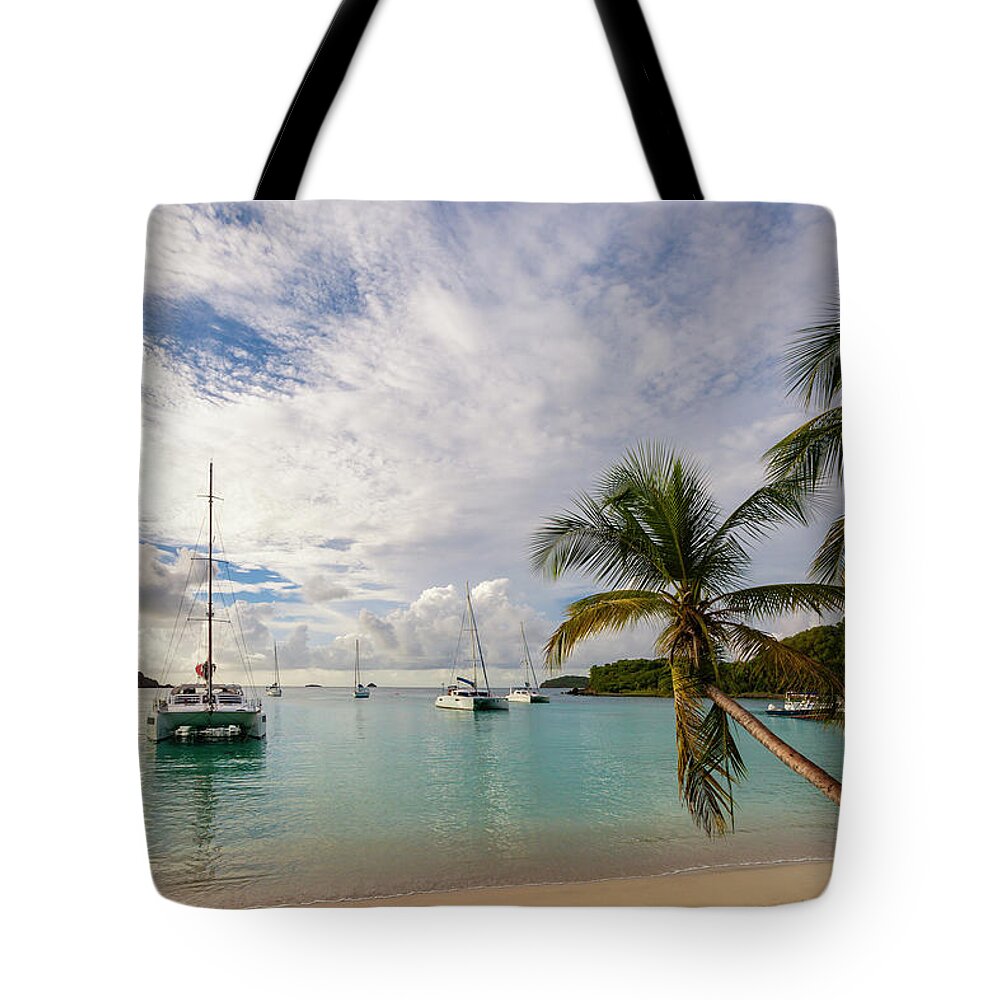Water's Edge Tote Bag featuring the photograph Salt Whistle Bay, Mayreau #9 by Flavio Vallenari