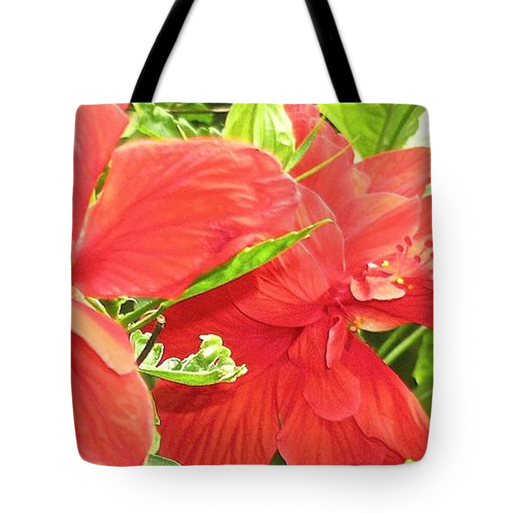 A Beautiful Day Tote Bag featuring the photograph A Beautiful Day by James Temple