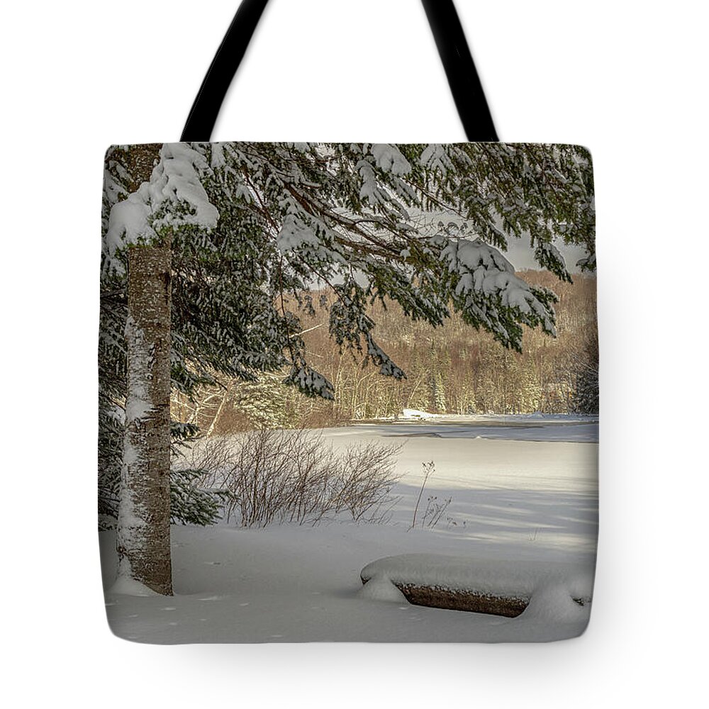 Adirondacks Tote Bag featuring the photograph A Beautiful View by Rod Best