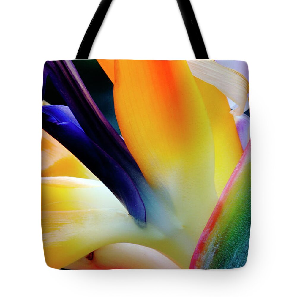 Banana Tree Tote Bag featuring the photograph A Close-up Of A Flower Of A Bird Of by Eromaze