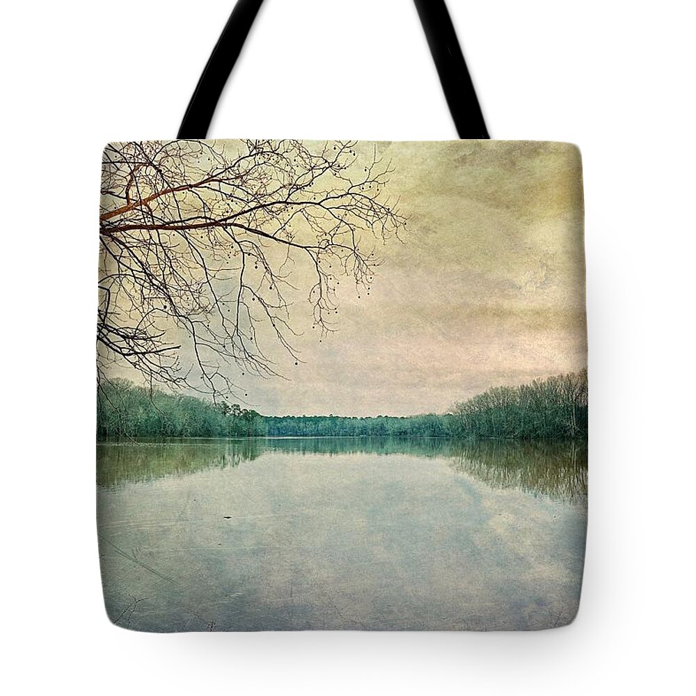 Mooresville Tote Bag featuring the digital art A December Wheeler Lake by Steven Gordon