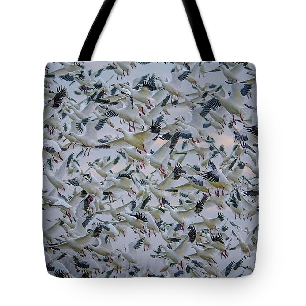 Migration Tote Bag featuring the photograph facemask A flutter by Patricia Dennis