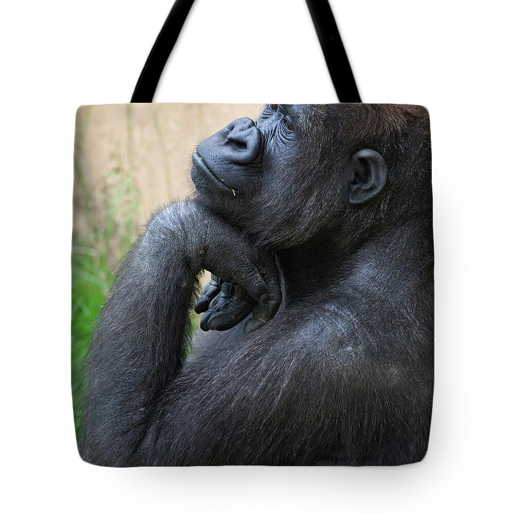 Three Quarter Length Tote Bag featuring the photograph A Gorilla Sits In A Thinking Position by Michael Interisano / Design Pics