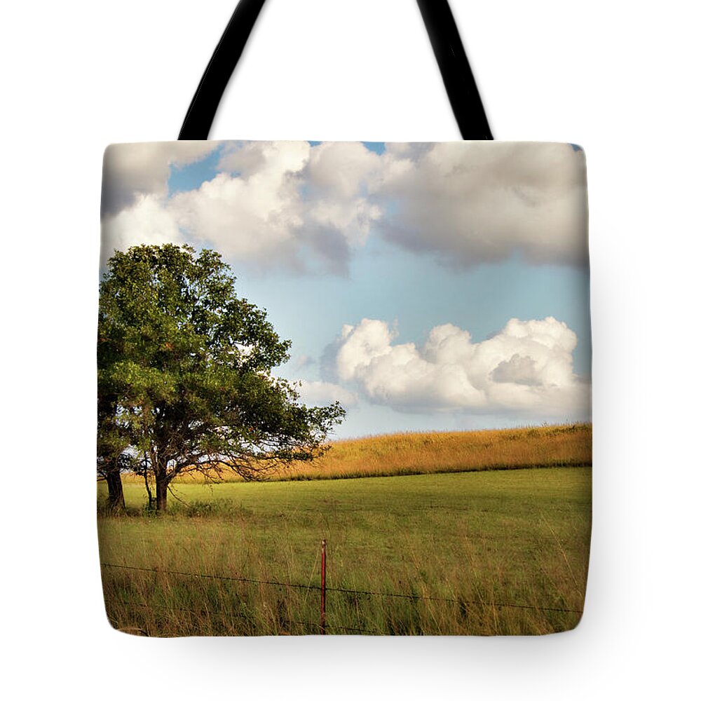 Creek County Tote Bag featuring the photograph A Little Shade by Lana Trussell