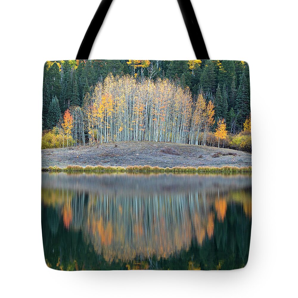 Aspens Tote Bag featuring the photograph A Little Spice by Angela Moyer