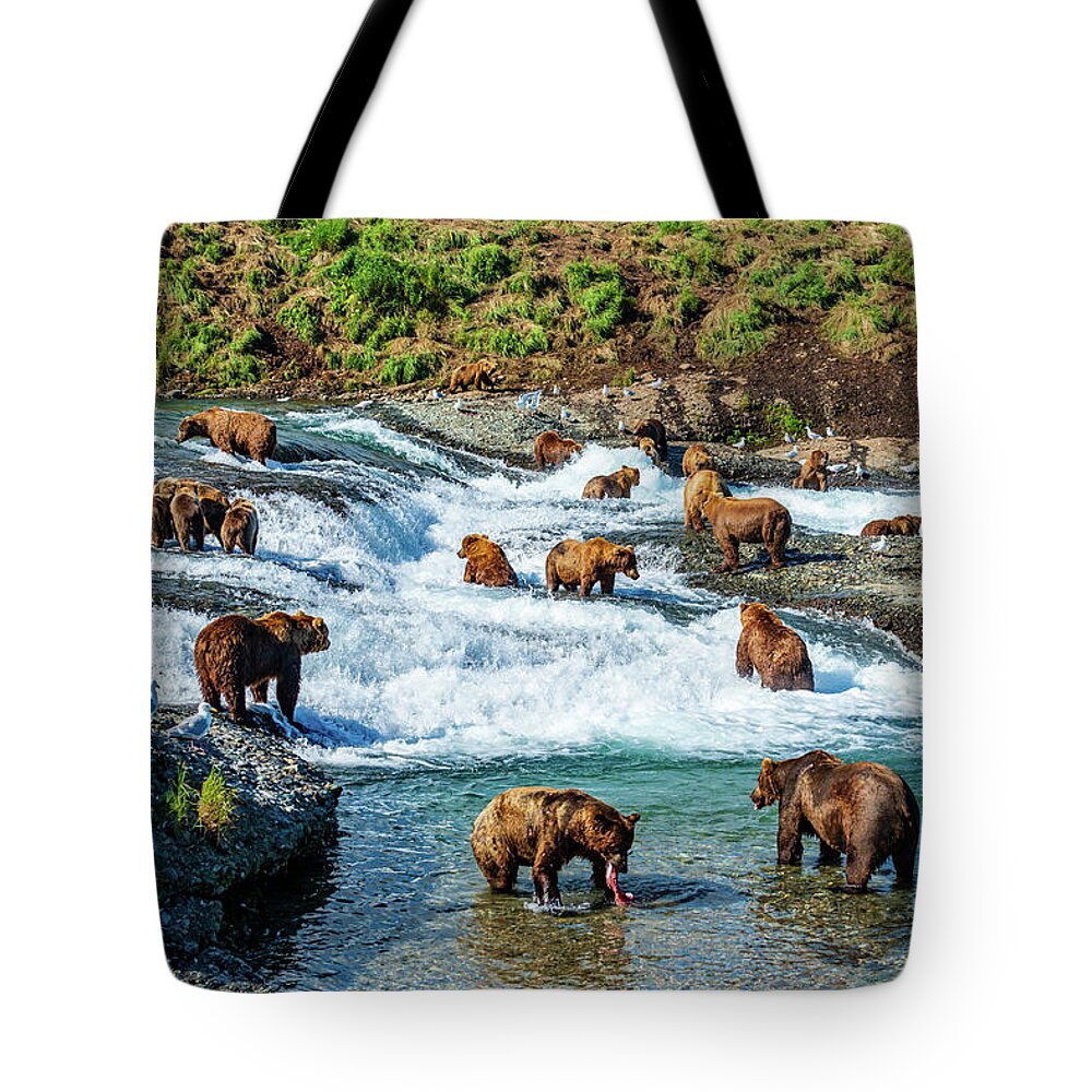 Grizzly Bear Tote Bags