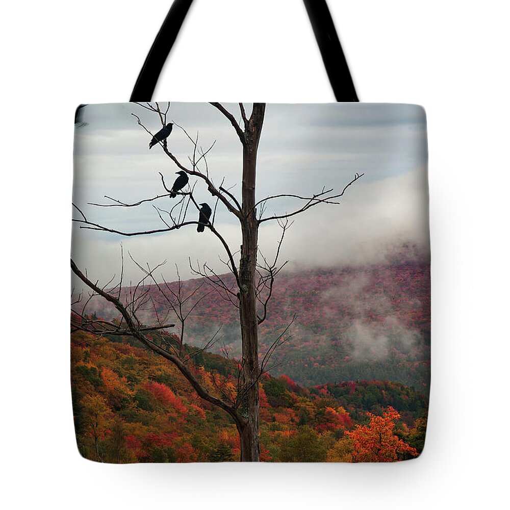 Murder Of Crows Tote Bag featuring the photograph A Murder of Crows gathering over Lost river road by Jeff Folger