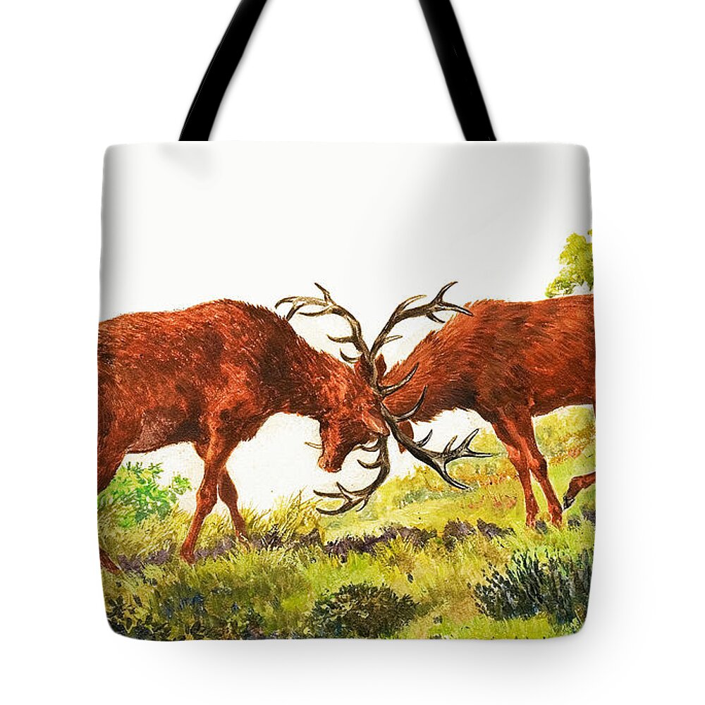 Rutting Tote Bag featuring the painting A pair of Red Deer rutting by Eric Tansley