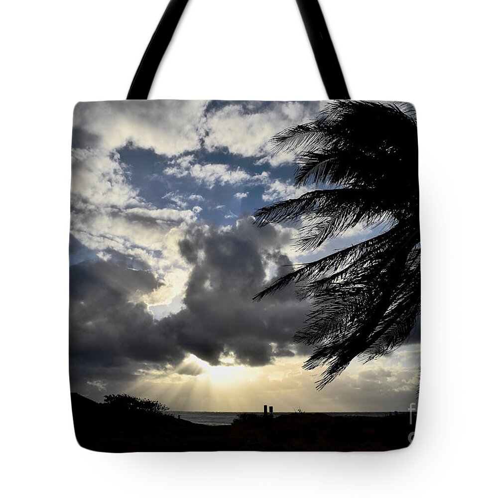 Ocean Tote Bag featuring the photograph A Palm at Polihale Beach by Debra Banks