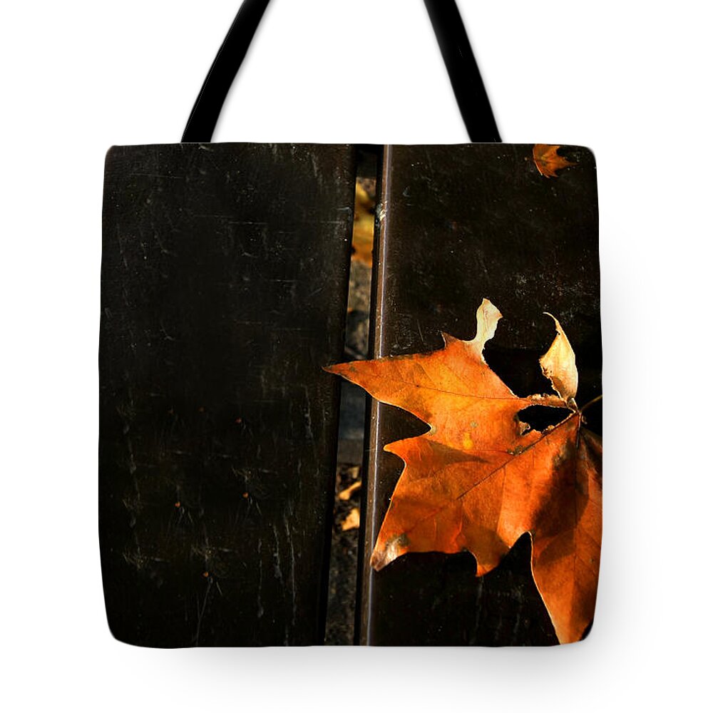 Autumn Tote Bag featuring the photograph A Park Bench in Autumn by Steve Ember