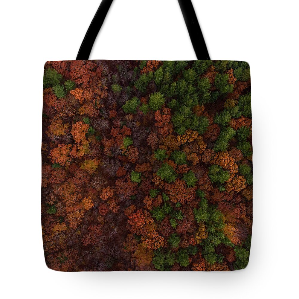 Fall Tote Bag featuring the photograph a Plate of color by William Bretton
