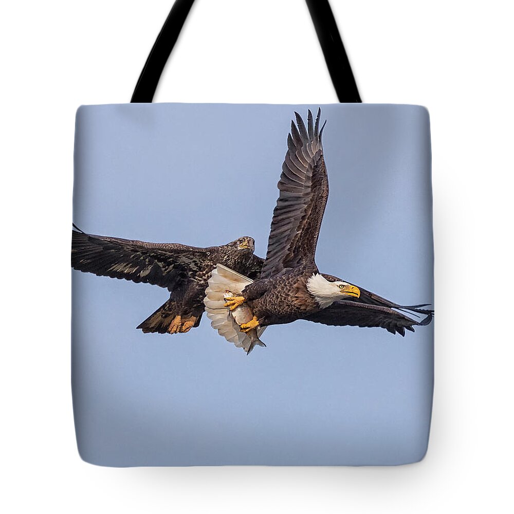 Eagle Tote Bag featuring the photograph A Quick Escape by Art Cole