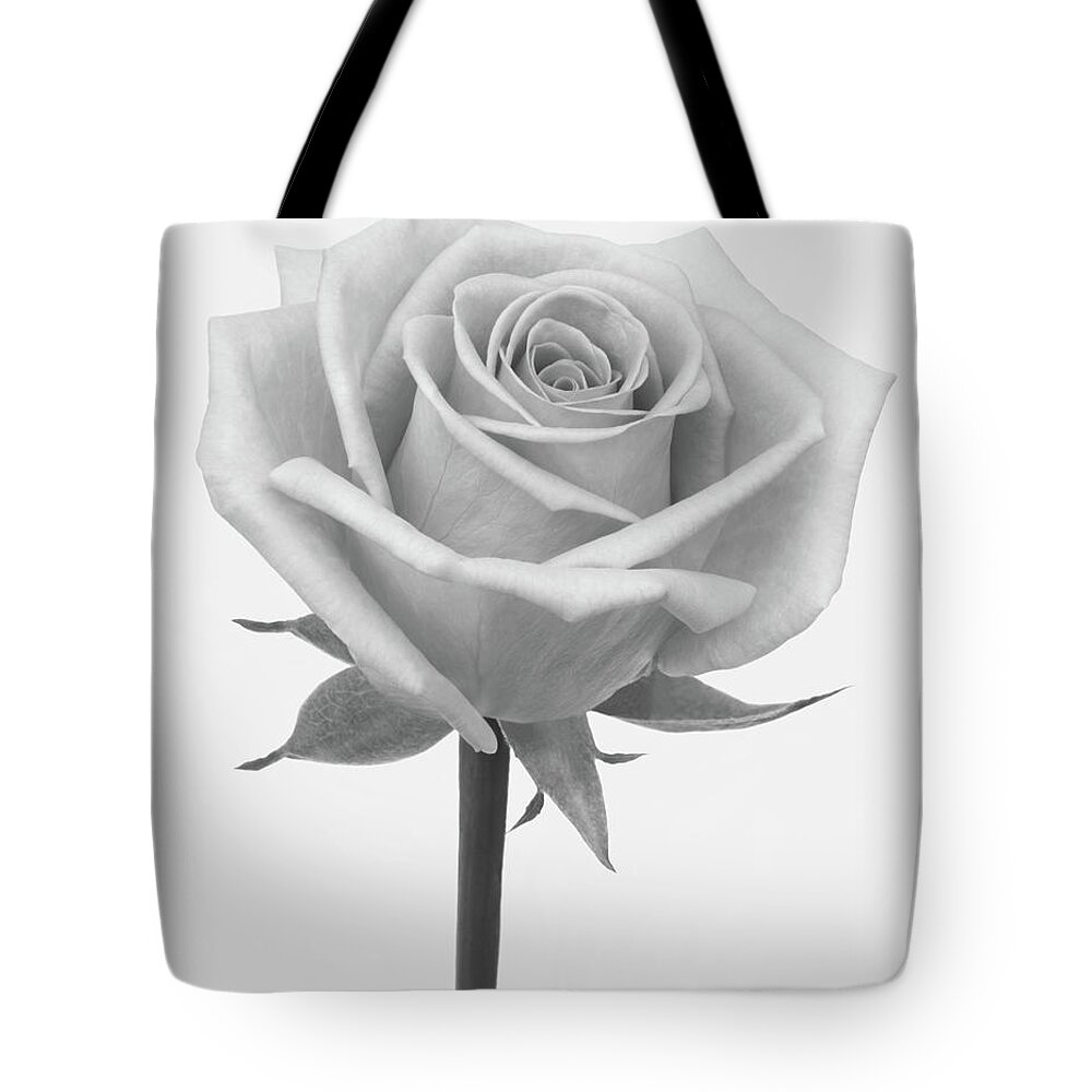 White Background Tote Bag featuring the photograph A Rose In Shades Of Grey by Rosemary Calvert