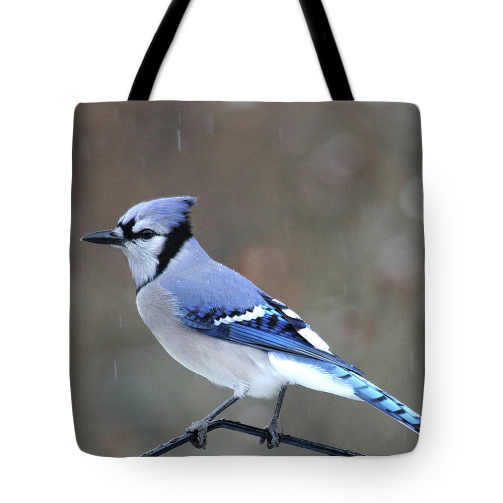 Birds Tote Bag featuring the photograph A Snowy Day with Blue Jay by Trina Ansel