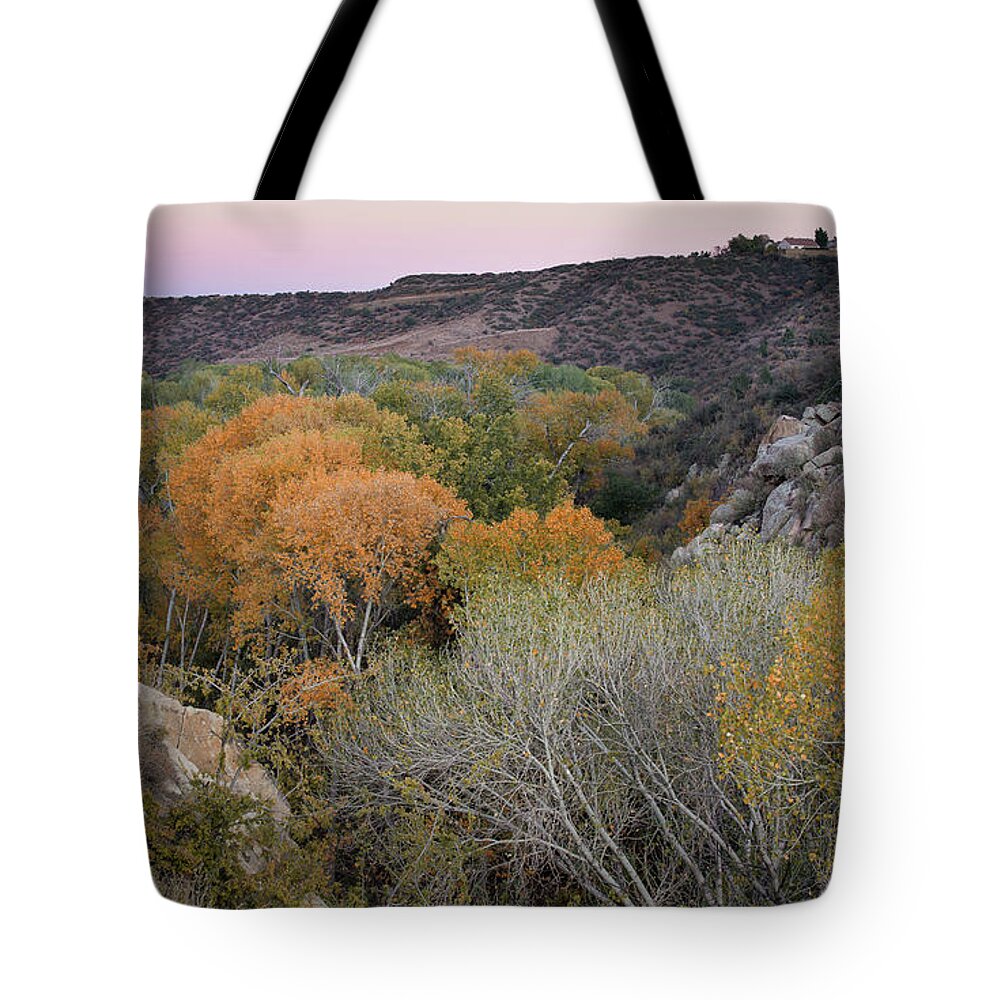 Fall Colors Tote Bag featuring the photograph A Splash of Orange by Aaron Burrows