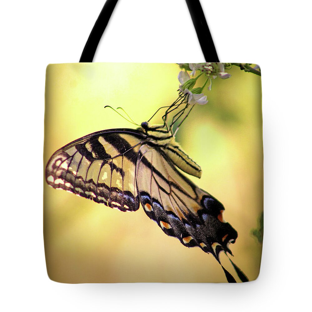 Butterfly Tote Bag featuring the photograph A Tiger by His Tail by Michael Allard