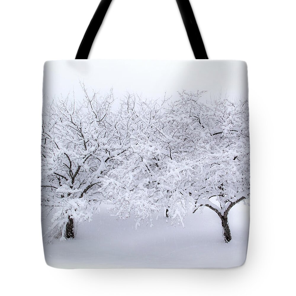 Fine Art Tote Bag featuring the photograph A Winter's Dream by Michael Friedman