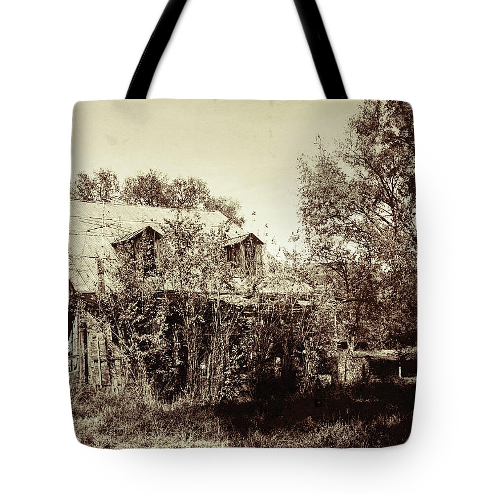 New Mexico Tote Bag featuring the photograph Abandoned farm house by Segura Shaw Photography