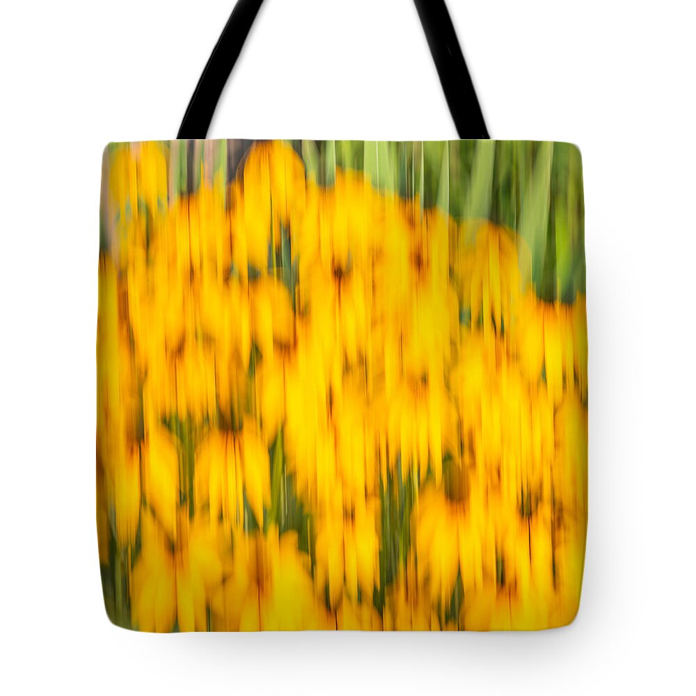 Sunflowers Tote Bag featuring the photograph Abstract Rudbeckia 2018-1 by Thomas Young