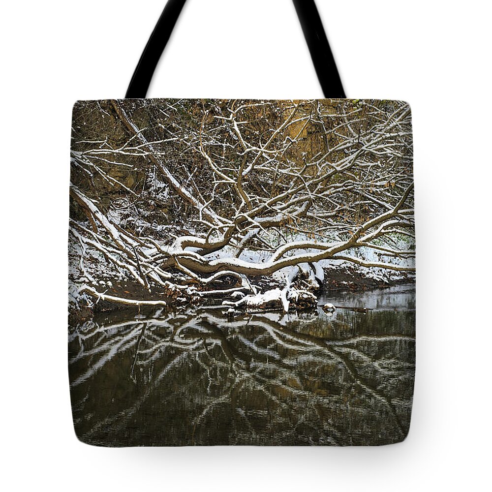 Trees Tote Bag featuring the photograph Abstract Tree and Snow Reflection by Tamara Becker