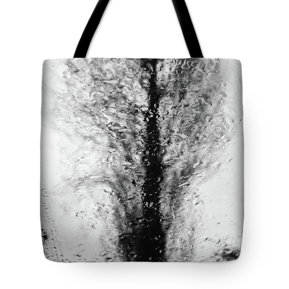 Rain Tote Bag featuring the photograph Abstract tree by Paulo Goncalves