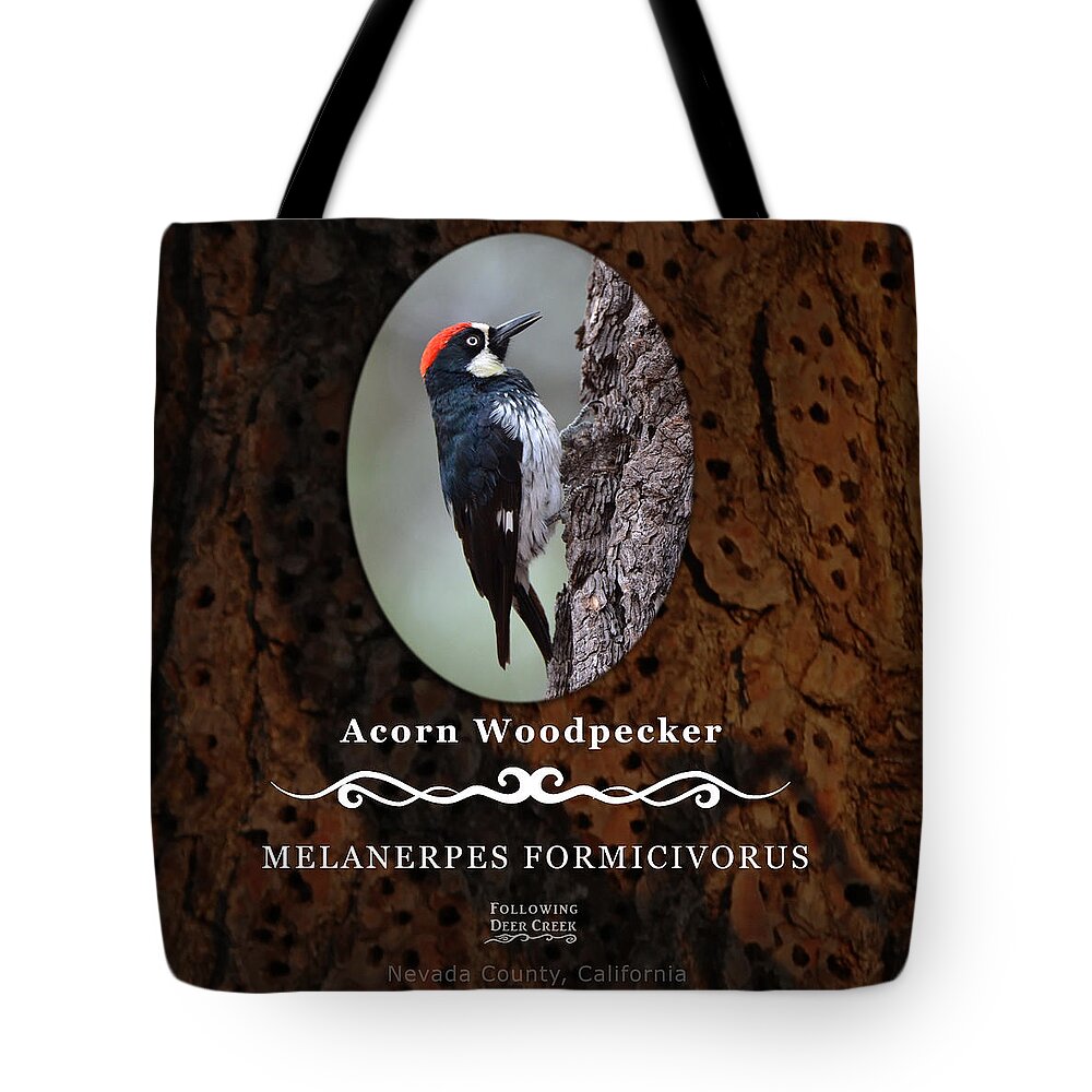 Woodpecker Tote Bag featuring the digital art Acorn Woodpecker Granary Tree by Lisa Redfern