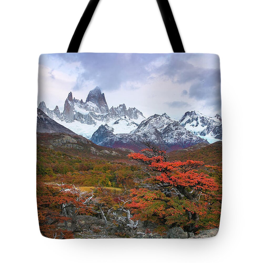 Patagonia Tote Bag featuring the photograph Acun by Ryan Weddle