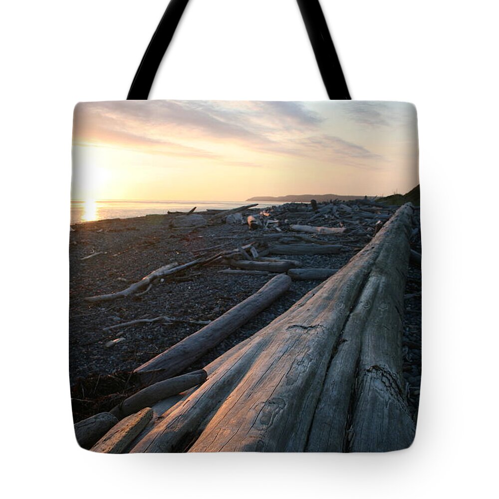 Admiralty Log H Tote Bag featuring the photograph Admirality Log H by Dylan Punke