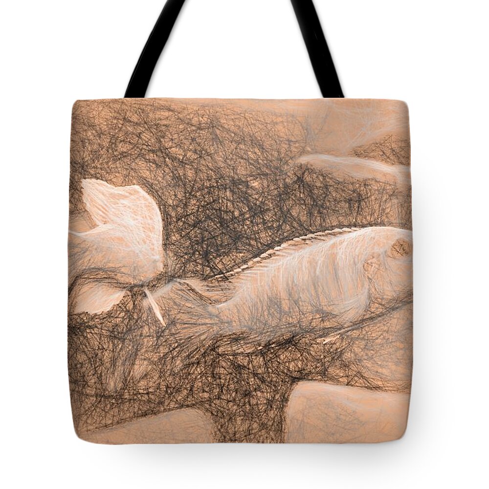 African Cichlid Tote Bag featuring the digital art African Cichlid Art da Vinci by Don Northup