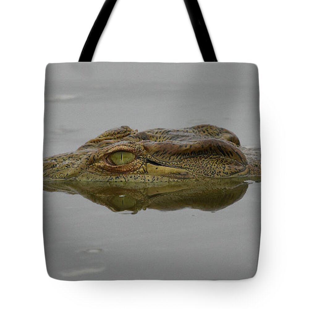 Croc Tote Bag featuring the photograph African Crocodile by Ben Foster