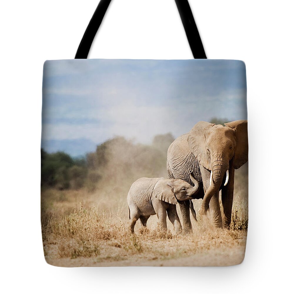 Kenya Tote Bag featuring the photograph African Elephant Mother And Calf by Mike Hill