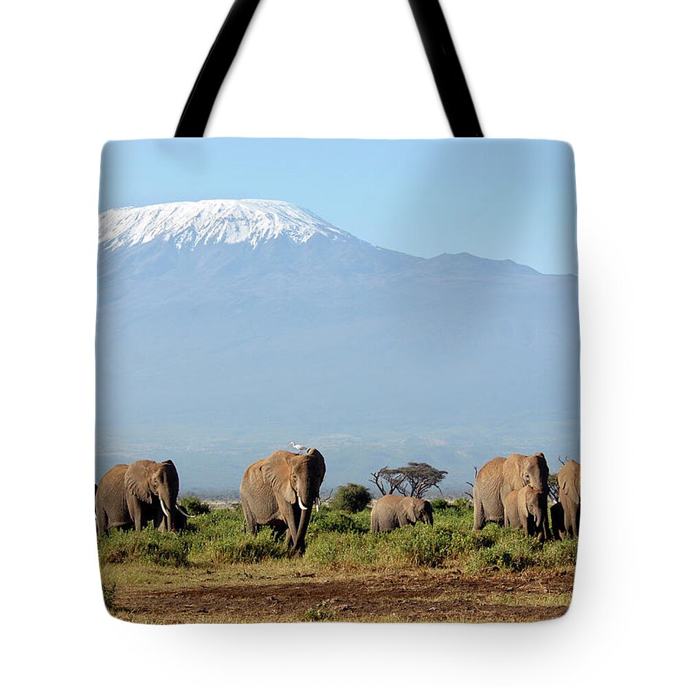 Kenya Tote Bag featuring the photograph African Elephants by Oversnap