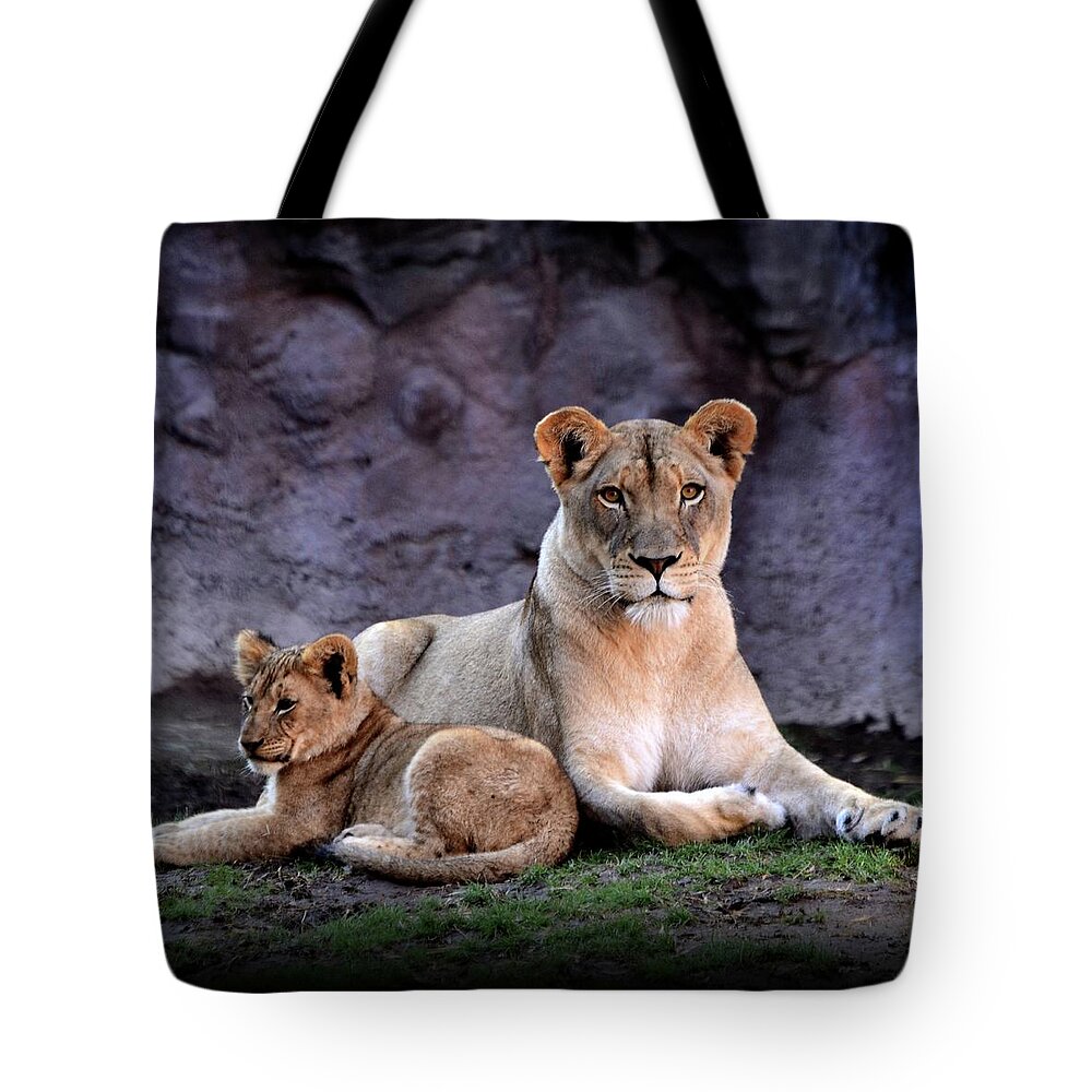 Animal Themes Tote Bag featuring the photograph African Lion With Cub by Yuko Smith Photography
