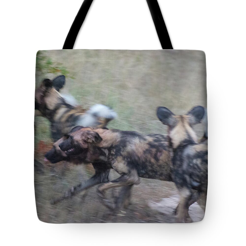 Lycaon Pictus Tote Bag featuring the photograph African Wild Dogs Running by Mark Hunter