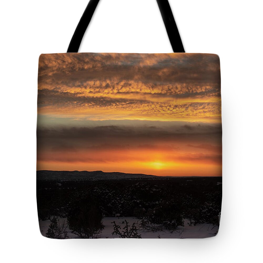 Natanson Tote Bag featuring the photograph After the Storm 2019 by Steven Natanson