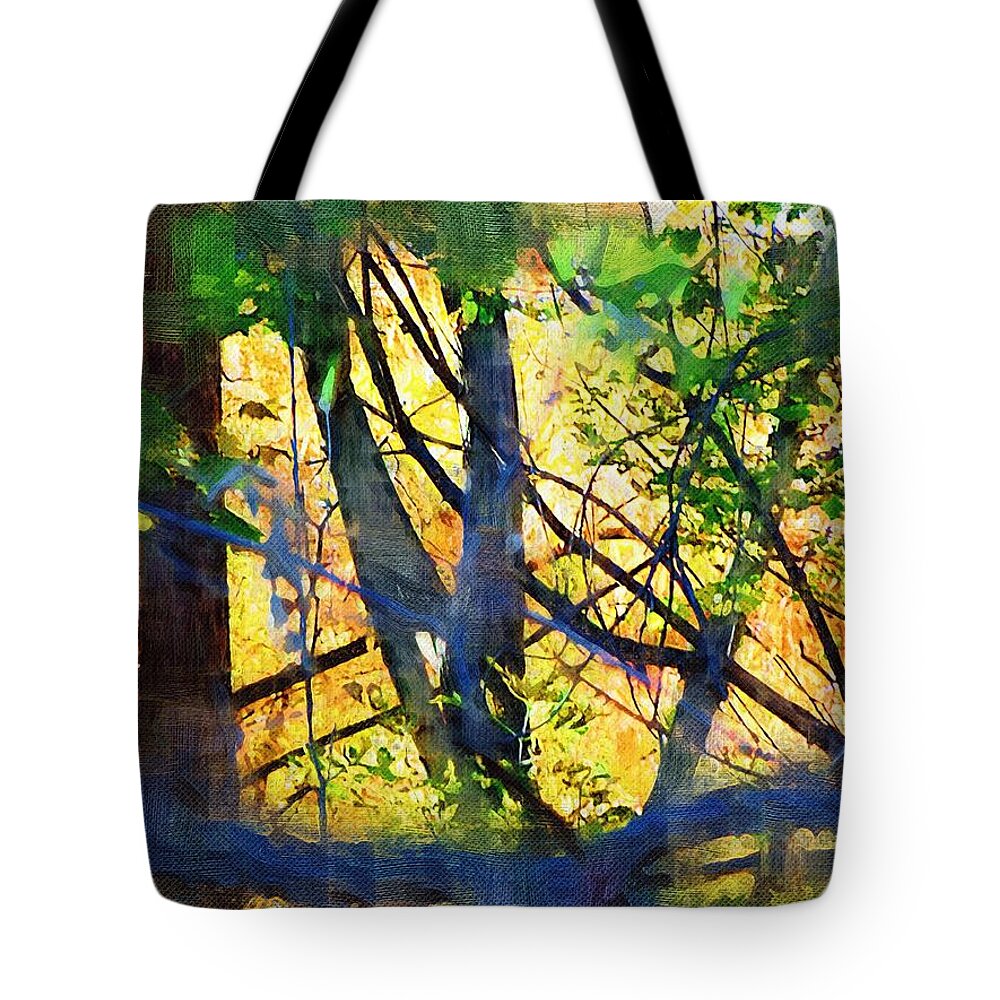 Trees Tote Bag featuring the mixed media Afternoon in the Woods by Christopher Reed