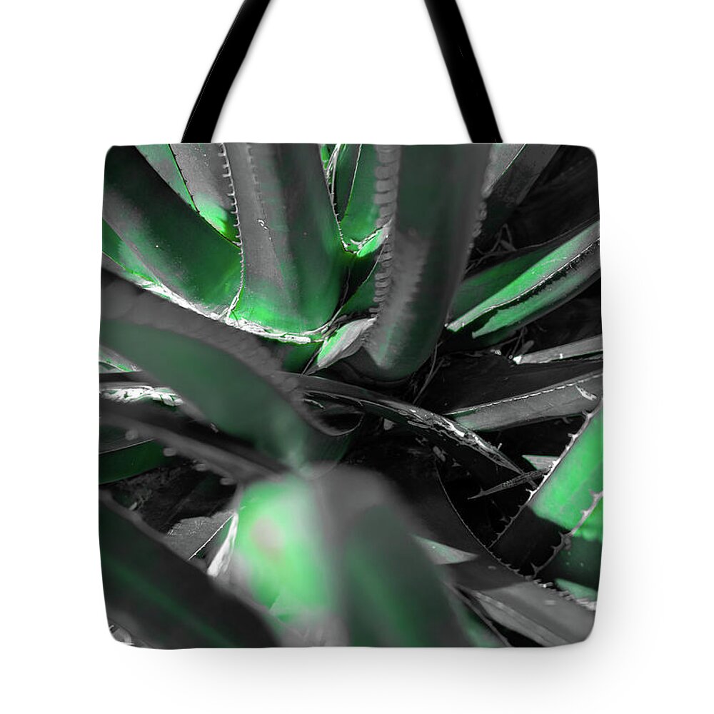 Agave Lechuguilla Tote Bag featuring the photograph Agave Lechuguilla Color by Dennis Dempsie