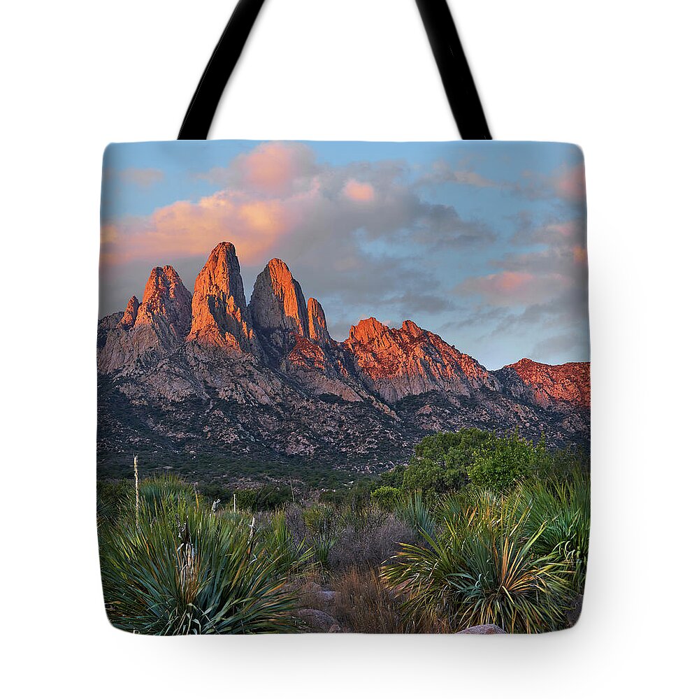 00557650 Tote Bag featuring the photograph Organ Moutains, Aguirre Spring by Tim Fitzharris