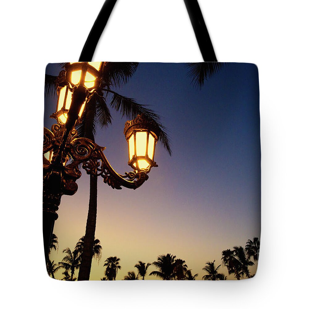 Sunset Tote Bag featuring the photograph Aglow by Becqi Sherman
