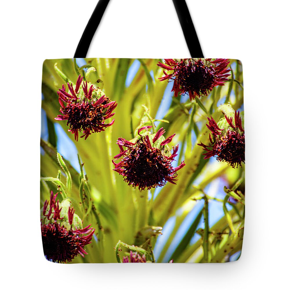 Silversword Tote Bag featuring the photograph Ahinahina Flowers by Anthony Jones