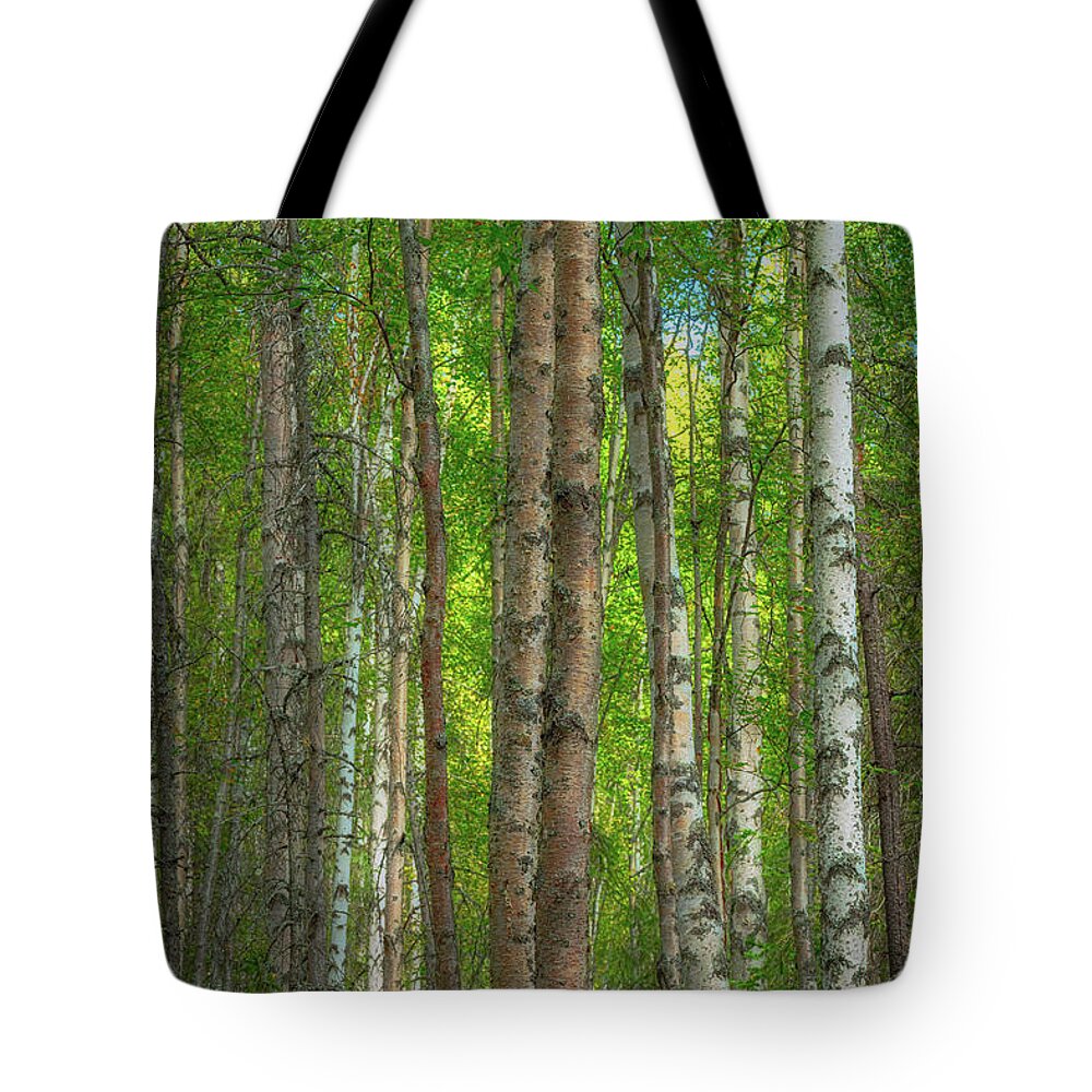 Forest Tote Bag featuring the photograph Alaska Idyll by Jade Moon