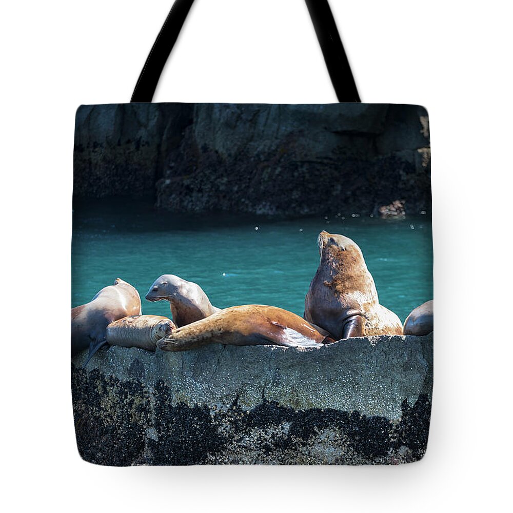 Alaska Coastline Tote Bag featuring the photograph Alaska Steller Sea lions by Scott Slone