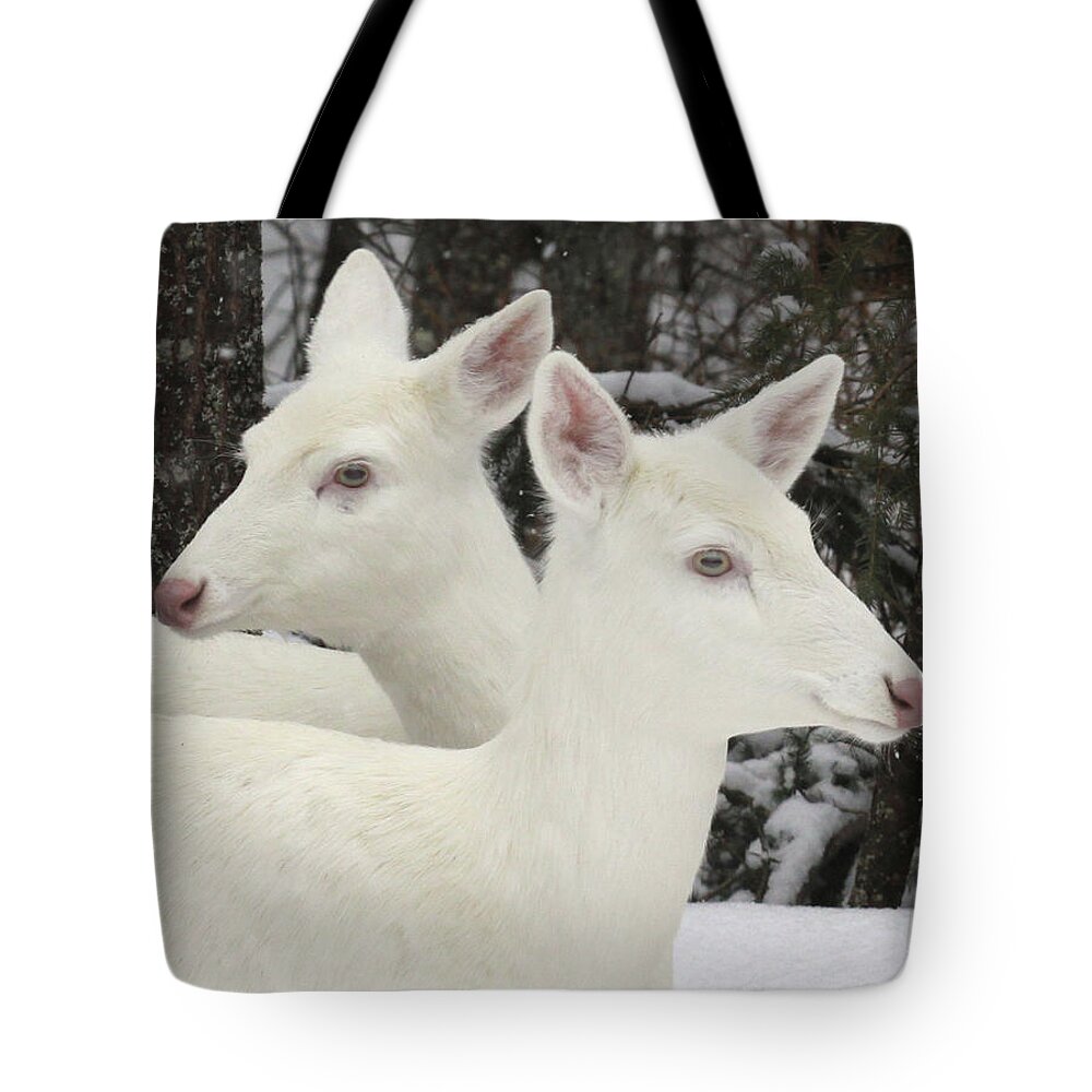 Snow Tote Bag featuring the photograph Albino White Tailed Deers by Photos By Michael Crowley