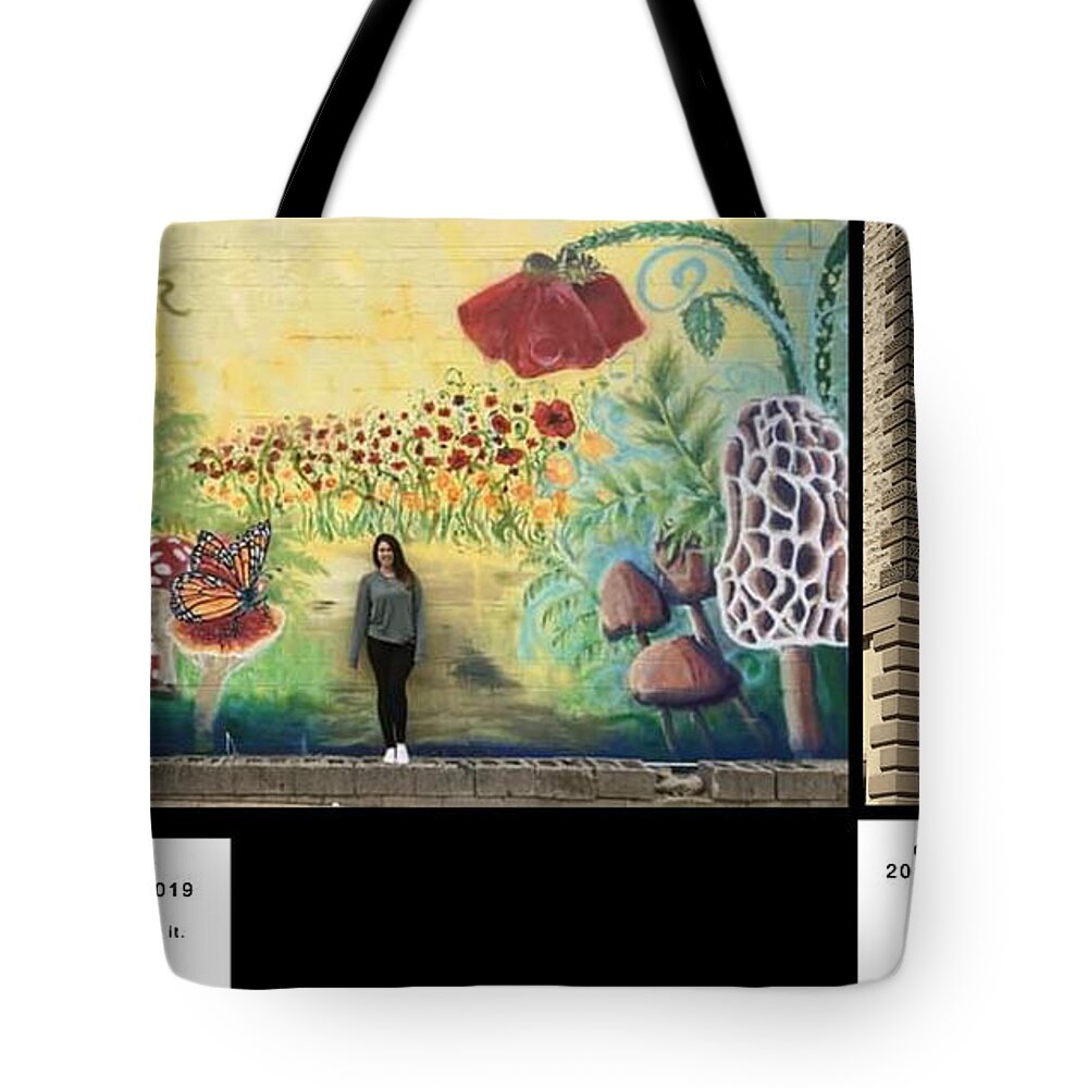 https://render.fineartamerica.com/images/rendered/default/tote-bag/images/artworkimages/medium/2/alice-in-wonderland-mural-michael-lude.jpg?&targetx=-326&targety=0&imagewidth=1416&imageheight=763&modelwidth=763&modelheight=763&backgroundcolor=E3D79A&orientation=0&producttype=totebag-18-18