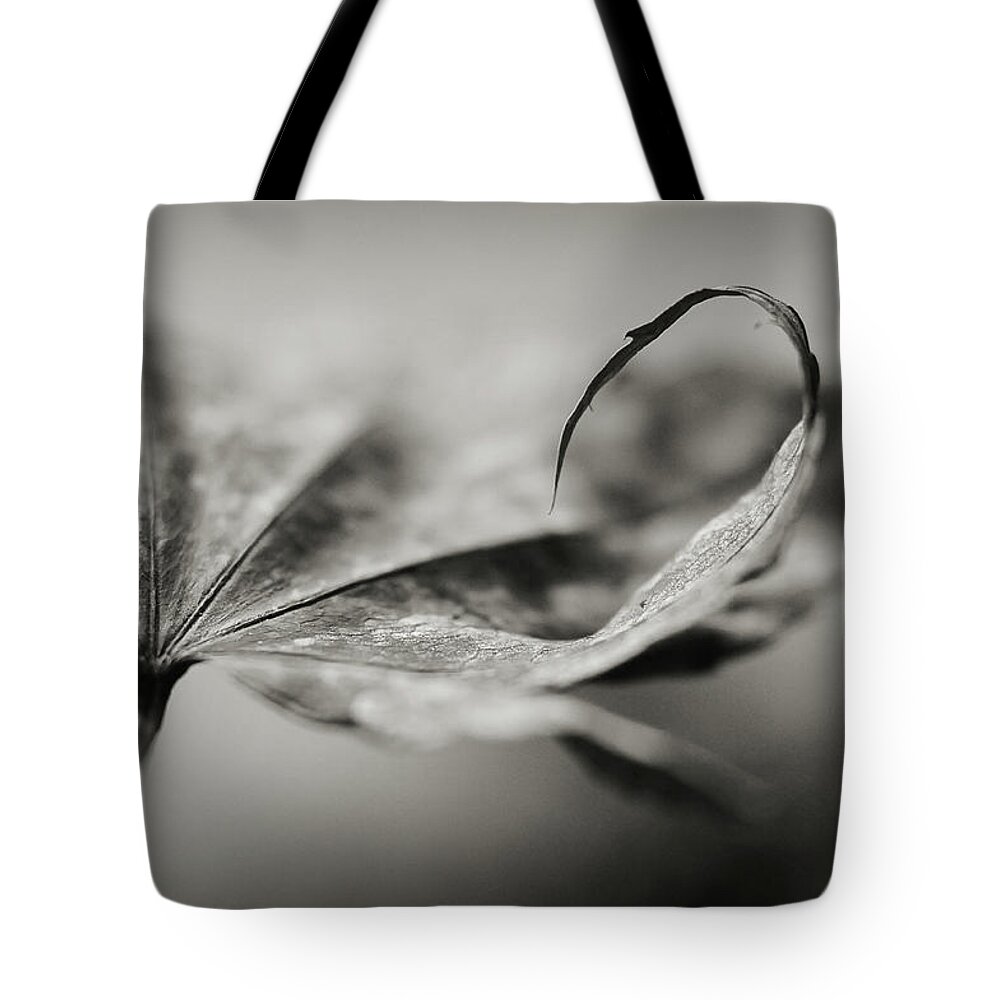 Black And White Tote Bag featuring the photograph All In by Michelle Wermuth