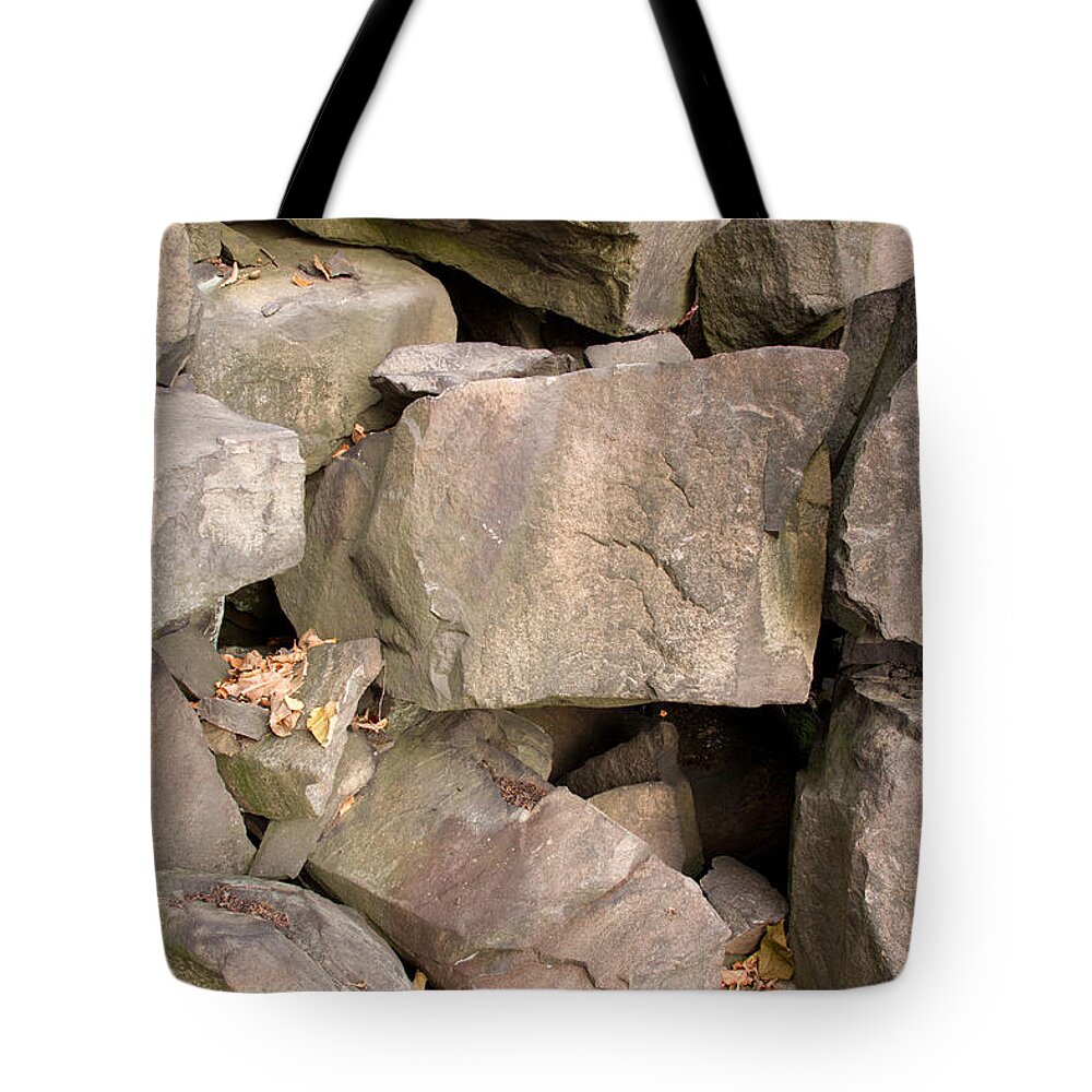 Allegheny Woodrat Tote Bag featuring the photograph Allegheny Woodrat Habitat by David Kenny