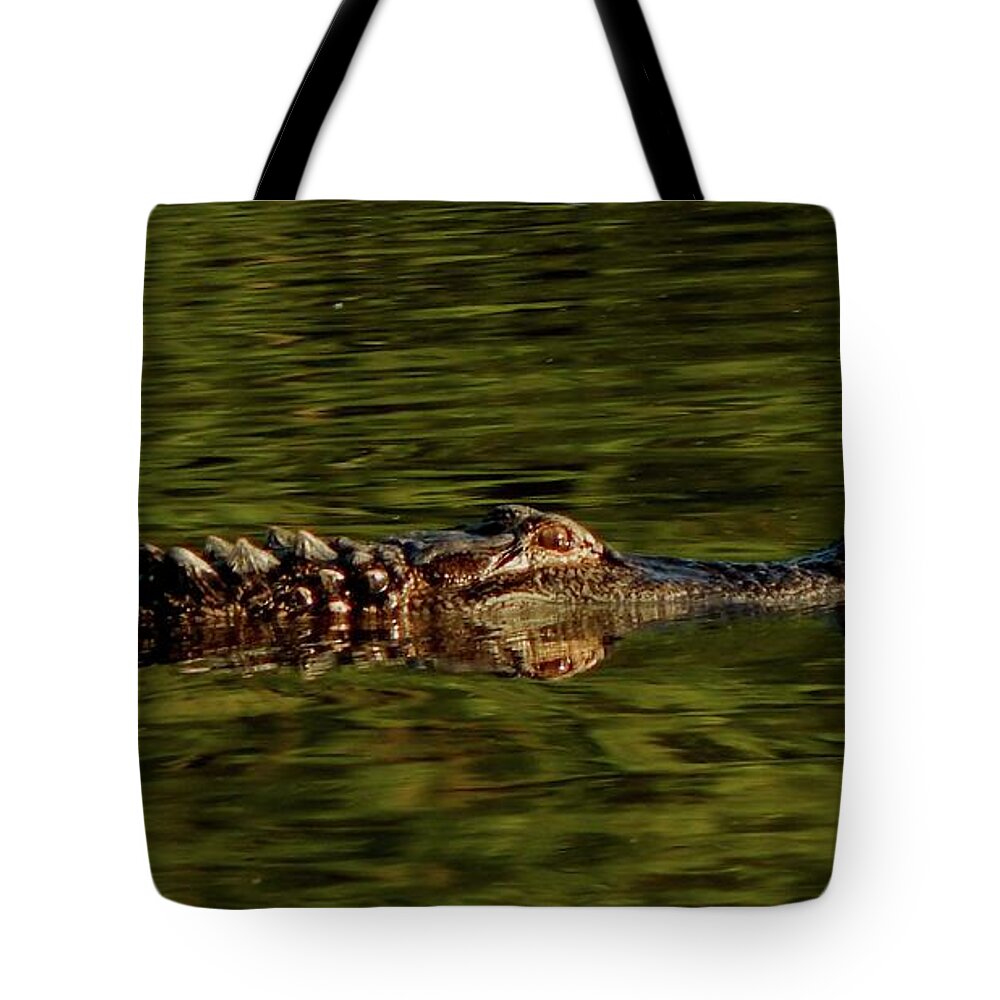 Animals Tote Bag featuring the photograph Alligator by Karen Stansberry
