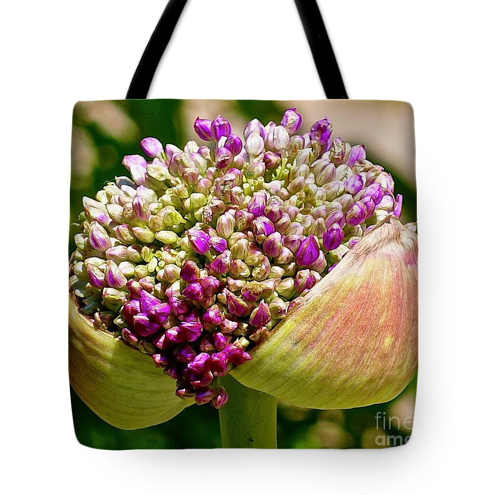 Flower Tote Bag featuring the photograph Allium Ambassador by Elisabeth Derichs